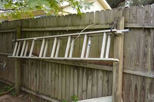 lot 242 image: Extension Ladder