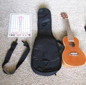 lot 109 image: Mitchell Ukulele with carry case and Chord sheet