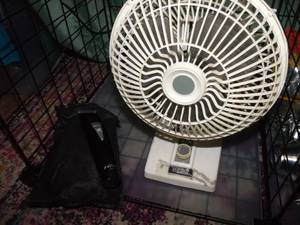 lot 84 image: Rechargeable Beard Trimmers (tested) and Small Fan