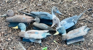 lot 37 image: Six Assorted Flambeau Duck Decoys