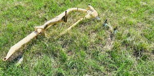 lot 43 image: Vintage 3-Point Auger(See Description)