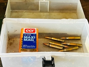 lot 148 image: Six 5.56mm Rifle Rounds &amp Thirty .22WMR CCI Maxi Mag Rounds W Case