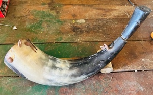 lot 245 image: Antique Powder Horn for Black Powder Muskets