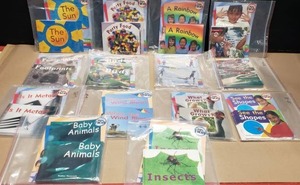 lot 215 image: Lot of 14 Rigby Focus Small Group Class Sets w Teachers Guides