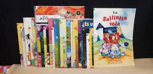 lot 291 image: Lot of 25 SPANISH Big Books, Various Titles