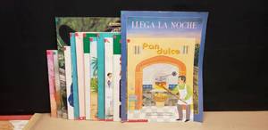 lot 294 image: Lot of 13 SPANISH Big Books, Various Titles