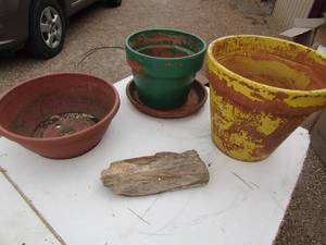 lot 80 image: ceramic planting pots and a piece of petrified wood