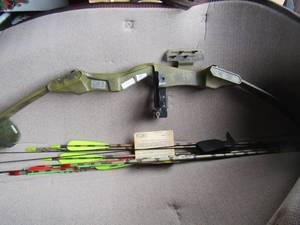 lot 198 image: black bear bow and arrow with arrows and comes in a case with targets