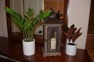 lot 48 image: Home Dcor Artificial Plants and Tall Lantern with Battery operated Candle
