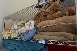 lot 396 image: Bath Towels and Cleaning Rags