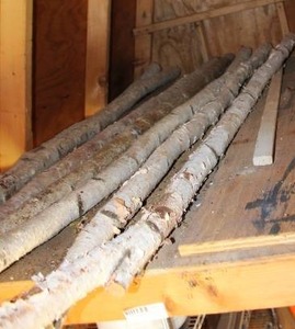 lot 680 image: Birch Tree Branches