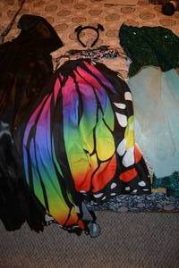 lot 65 image: Halloween Costumes Mermaid, Butterfly, and Hooded Cloak