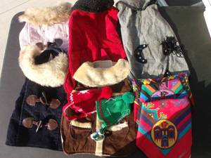 lot 22 image: Dog Clothes for Small Dogs. See pictures