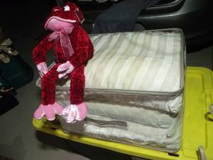 lot 222 image: Three Neck Contour Pillows and Plush Frog