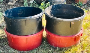 lot 50 image: Two Red &amp Two Black 21 x 11 Planters