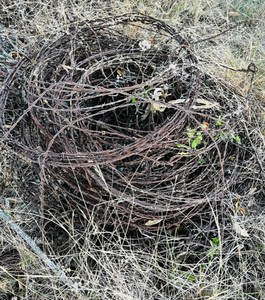 lot 113 image: Large Amount Of Late 1800sEarly 1900s Barbed Wire