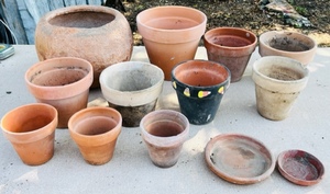 lot 163 image: Huge Lot of Terra CottaClay Pot Planters
