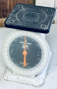 lot 246 image: Health O Meter 30lbs Scale