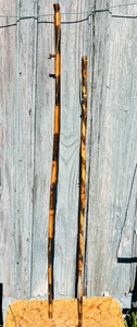 lot 322 image: His & Hers Vintage Hand Painted Striped Walking Staffs