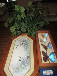 lot 272 image: Mavoie Marrow framed hummingbird photo  19 11 12,   wicker basket plant,     167 butterfly shadow box