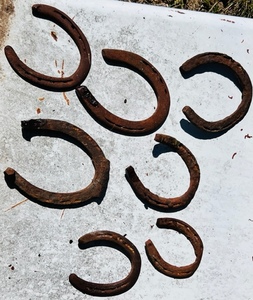 lot 51 image: Lot of Seven AntiqueVintage Horseshoes