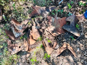 lot 54 image: Huge Lot of AntiqueVintage Cultivator Plow Blade Points