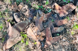 lot 55 image: Huge Lot of AntiqueVintage Cultivator Plow Blade Points(Please See Pictures)