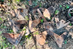 lot 57 image: Huge Lot of AntiqueVintage Cultivator Plow Blade Points(Please See Pictures)