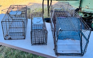 lot 117 image: Three Live Animal Traps
