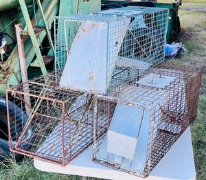 lot 118 image: Three Live Animal Traps - Including Advantek &amp Havahart
