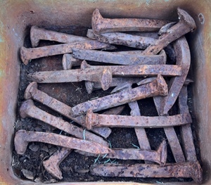 lot 77 image: Twenty  Used AntiqueVintage Railroad Spikes