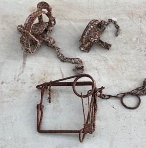 lot 259 image: Three Antique Animal Traps