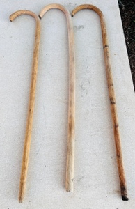 lot 282 image: Three AntiqueVintage Shepherds Hook Walking Canes