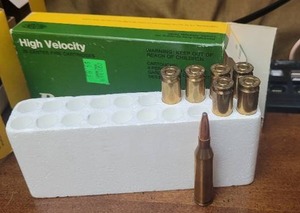 lot 76 image: Remington 243 ammo - 7 rounds