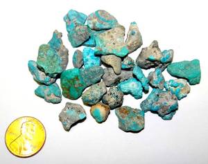 lot 54 image: ARIZONA MINED TURQUOISE - 26.0 grams TOTAL