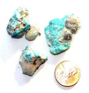 lot 12 image: LARGE NEVADA TURQUOISE - 15.3 grams