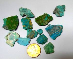 lot 33 image: NEVADA MINED TURQUOISE LOT - 19.9 grams TOTAL - STRONG COLOR
