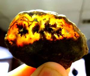 lot 47 image: BEAUTIFUL AGATE CUT - WILL MAKE A NICE PIECE OF JEWELRY - 15.5 grams