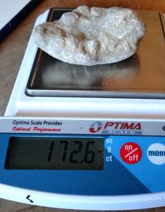 lot 73 image: FOSSILIZED SHELL - 172.6 grams