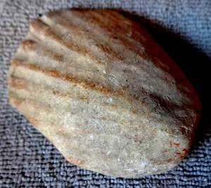 lot 75 image: FOSSILIZED SEA SHELL - 18.8 grams