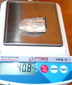 lot 81 image: FOSSILIZED PETRIFIED WOOD - 40.7 grams