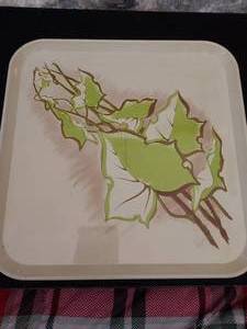 lot 18 image: 11 decorative tin tray