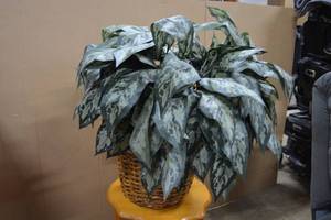 lot 27 image: Artificial Plant Arrangement 3Ft. Tall