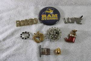 lot 260 image: Jewelry Pinbrooch selection. Includes Rodeo rhinestone pin plus