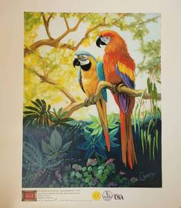 lot 25 image: EXCLUSIVE LIMITED EDITION 188500 GICLEE ITEM #12914 MAGNIFICENT MACAWS BY CLANCEY CHERRY. MEASURES 20 X 16. HAS NEVER BEEN FRAMED. CHECK IT OUT