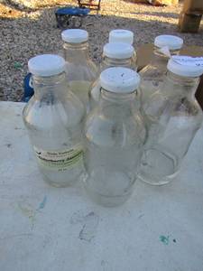 lot 218 image: 7 elder berry tea bottles,