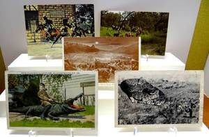 lot 12 image: VINTAGE POST CARDS - USED & UNUSED