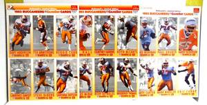 lot 206 image: TAMPA BAY BUCCANEERS 1993 MCDONALDS FLEER GAMEDAY 93 FOOTBALL 18 CARD SET (UNCUT) $$
