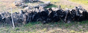 lot 411 image: Stack of Firewood