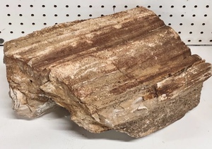lot 4 image: 36 Pound Piece of Texas Petrified Wood